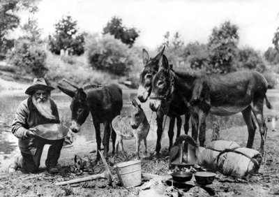 California Gold Miner by Unbekannt Unbekannt